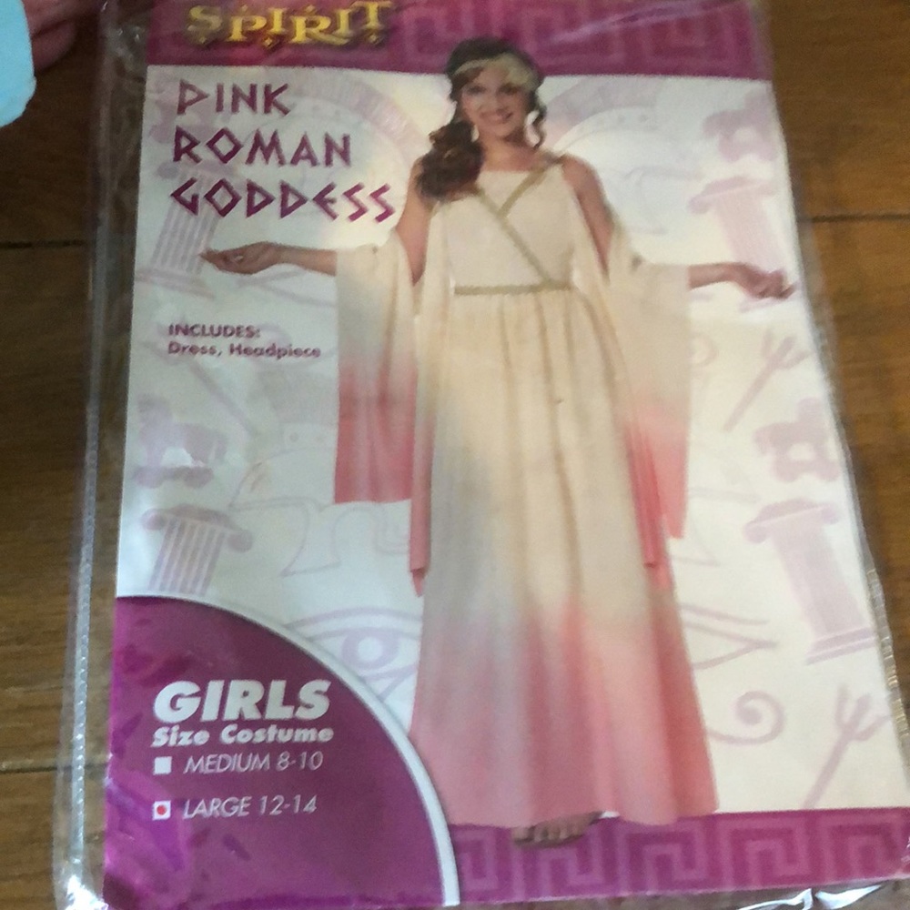 Pink Roman Goddess costume Spirit Halloween 12-14